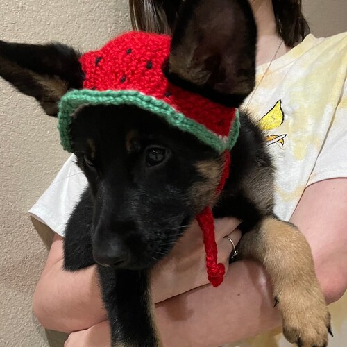 Cute Crochet Strawberry Dog Hat Etsy