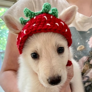 Cute Crochet Strawberry Dog Hat image 3