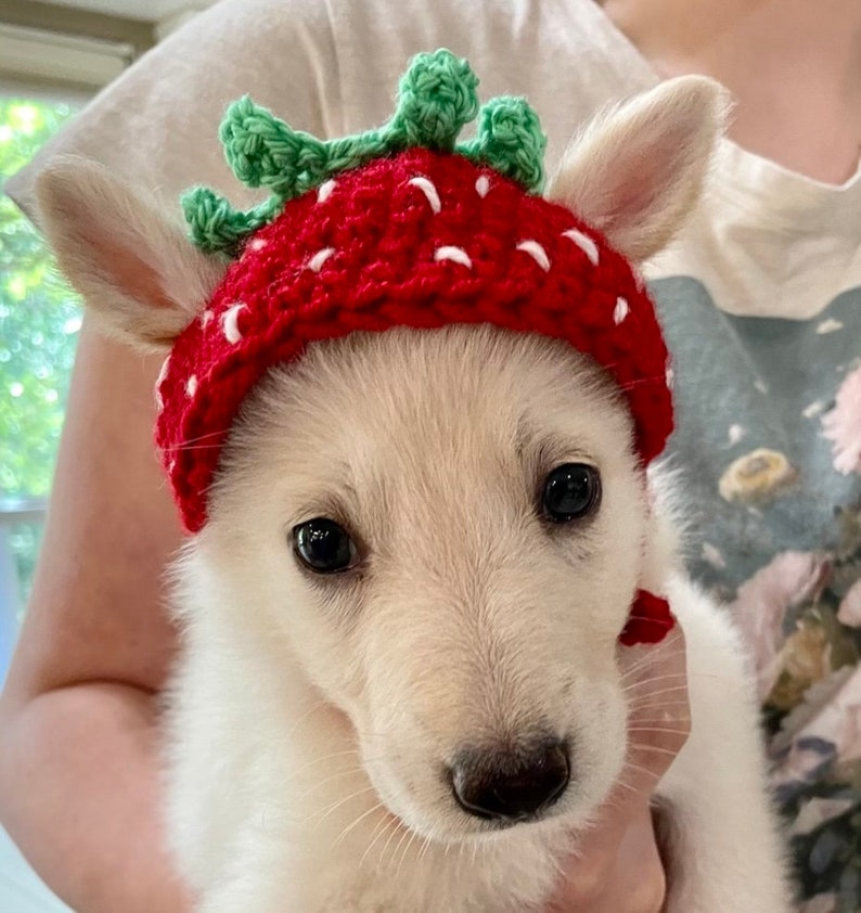 Cute Crochet Strawberry Dog Hat image 3