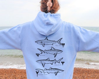 May include: A light blue hoodie with a graphic of five different shark silhouettes on the back. The sharks are labeled with their names: White Shark, Bull Shark, Lemon Shark, Sand Tiger Shark, and Dogfish Shark.