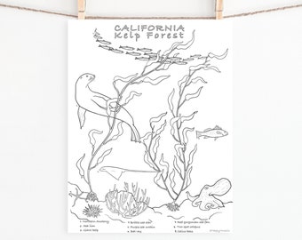 Kelp Forest Coloring Page /Digital download/Kids and Adults /Print instantly