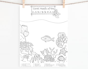Coral Reef Ocean Coloring Pages /Digital Download /Educational /Adults and Kids/ Print Instantly