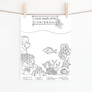 Coral Reef Ocean Coloring Pages /Digital Download /Educational /Adults and Kids/ Print Instantly