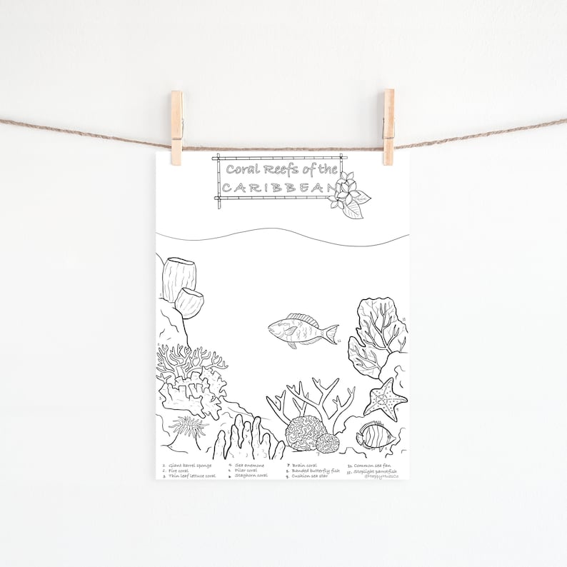 Coral Reef Ocean Coloring Pages /digital Download /educational /adults