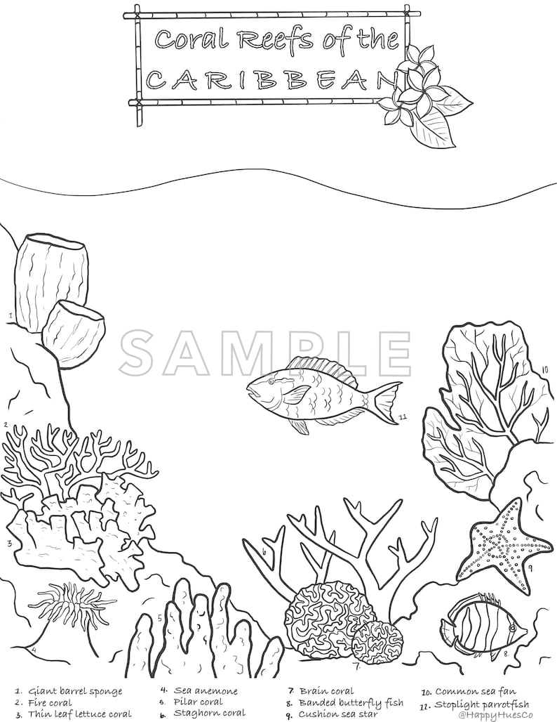 Coral Reef Ocean Coloring Pages /digital Download /educational /adults
