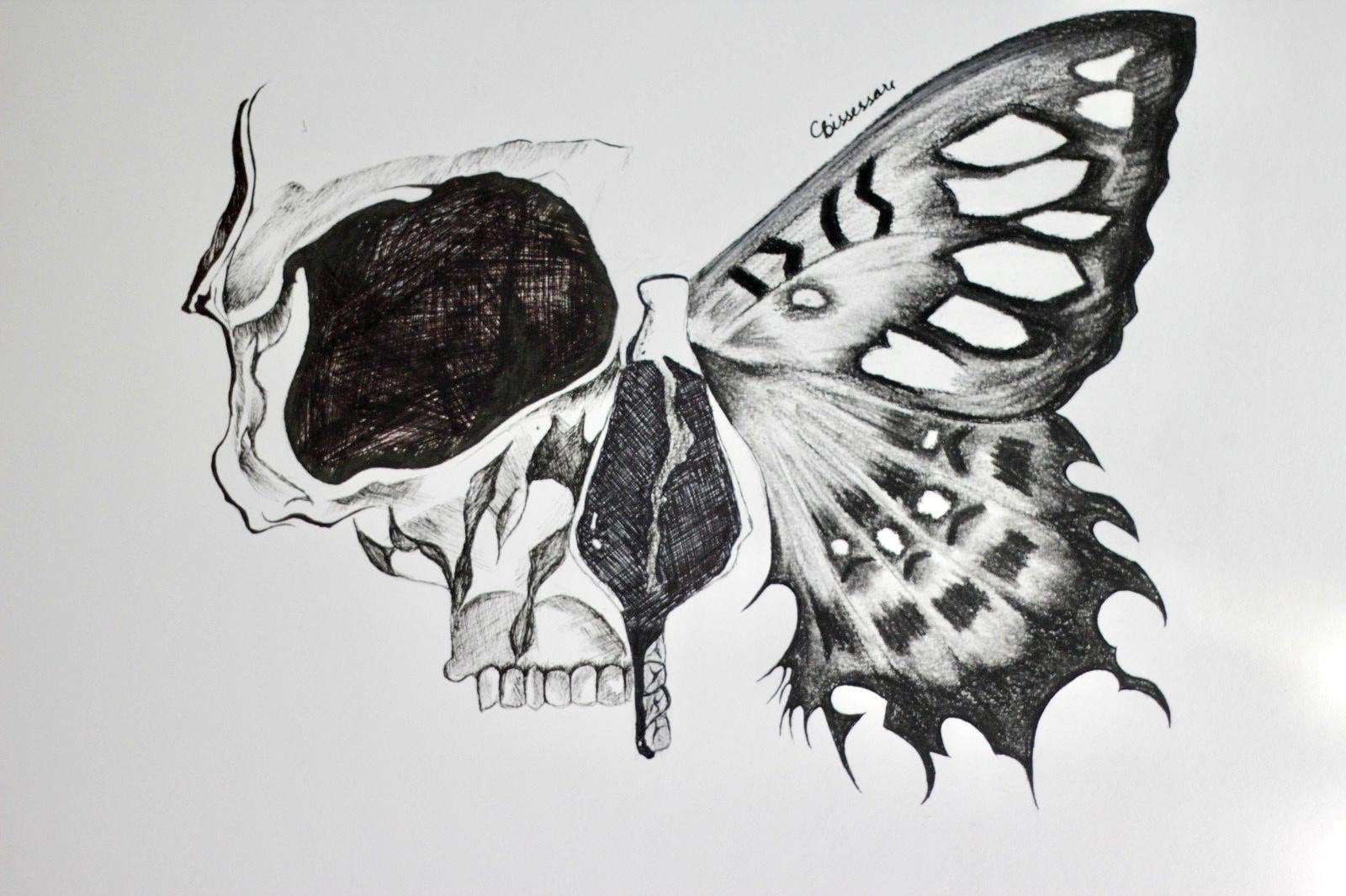 Beautiful Skull Butterfly Drawing Print | Etsy