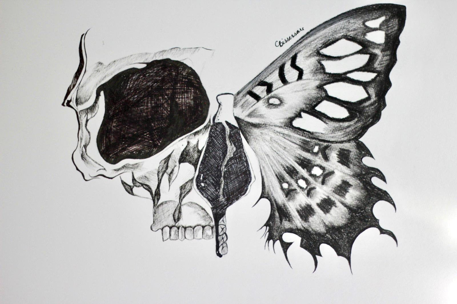 Beautiful Skull Butterfly Drawing Print Etsy