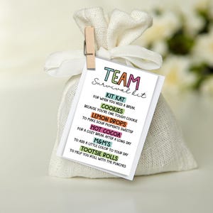 Printable Team Survival Kit Gift Tags - Printable Employee Appreciation Gift Tag - Instant Download - Employee Survival Kit Printable