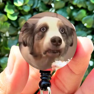 Funny Badge Reel | Viral Cupcake Dog Dramatic Meme | Nurse Badge Reel Funny | Badge Reel Holder | Nurse Gift | Nurse ID Holder