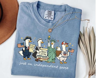 Camiseta Silly Goose USA con colores cómodos para el 250.º aniversario, camiseta con la bandera de EE. UU., regalo patriótico del 4 de julio, Día de la Independencia, 250.º aniversario de EE. UU.