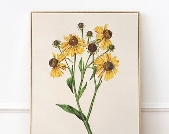 PRINTABLE Vintage Flower Wall Art, Antique Sunflower Decor, Natural Bedroom Art, Floral Poster, Kitchen Art, Instant Download Print #117