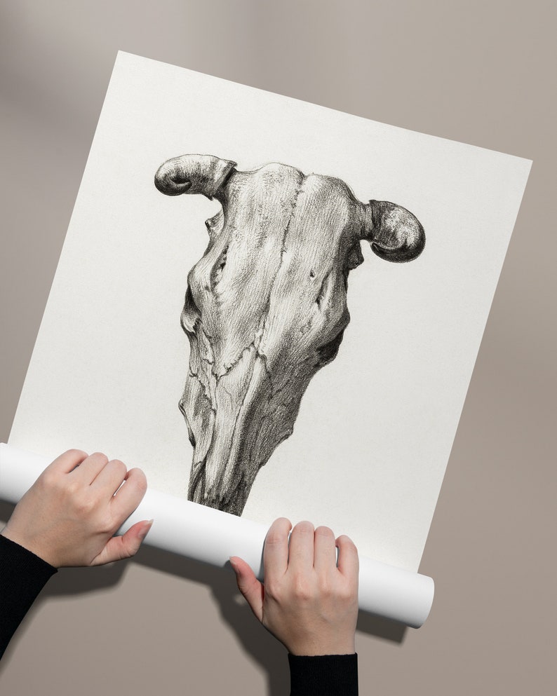 PRINTABLE Vintage Cow Skull Wall Art, Victorian Era Dark Aesthetic
