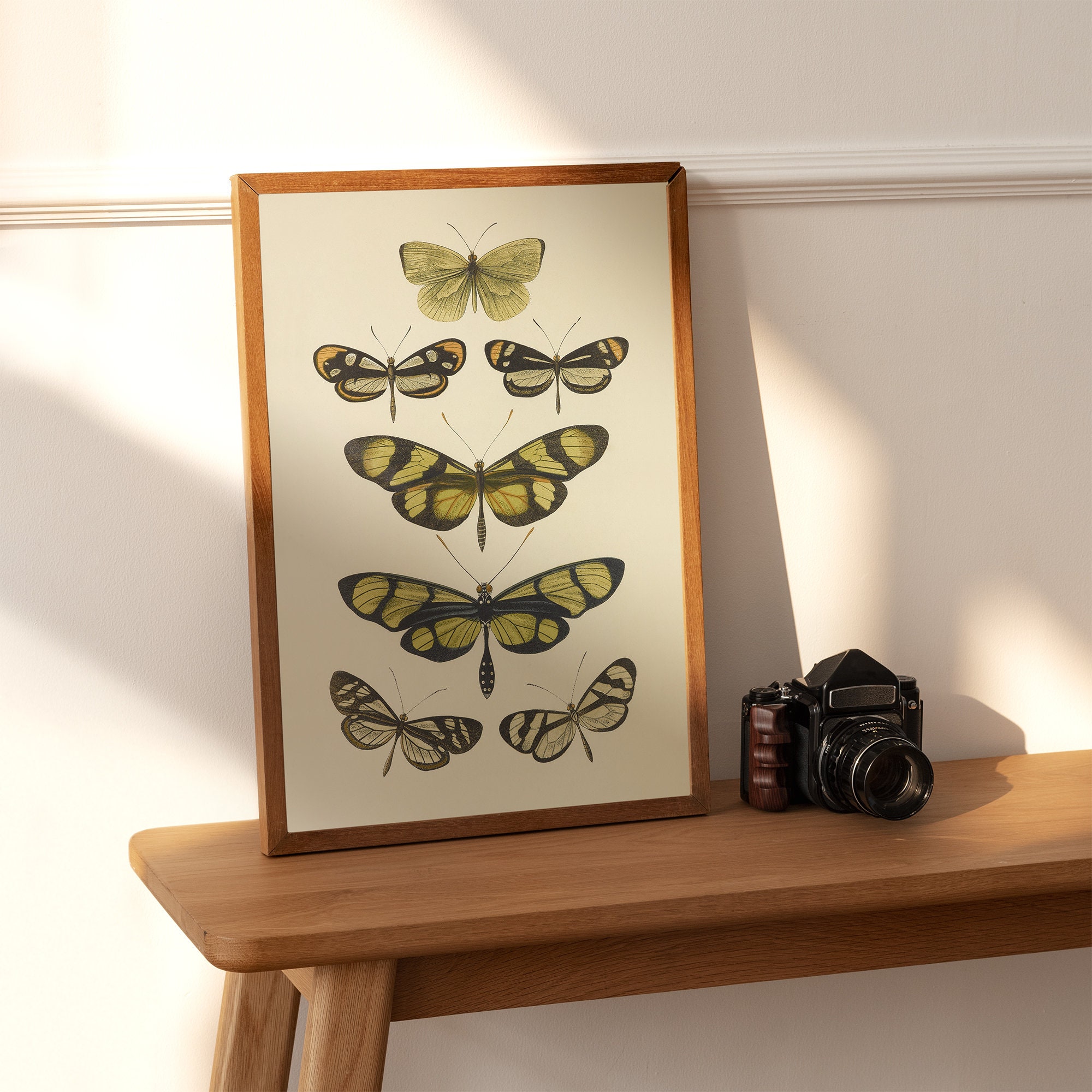 PRINTABLE Vintage Butterfly Wall Decor, Antique Cottagecore Print, Boho ...