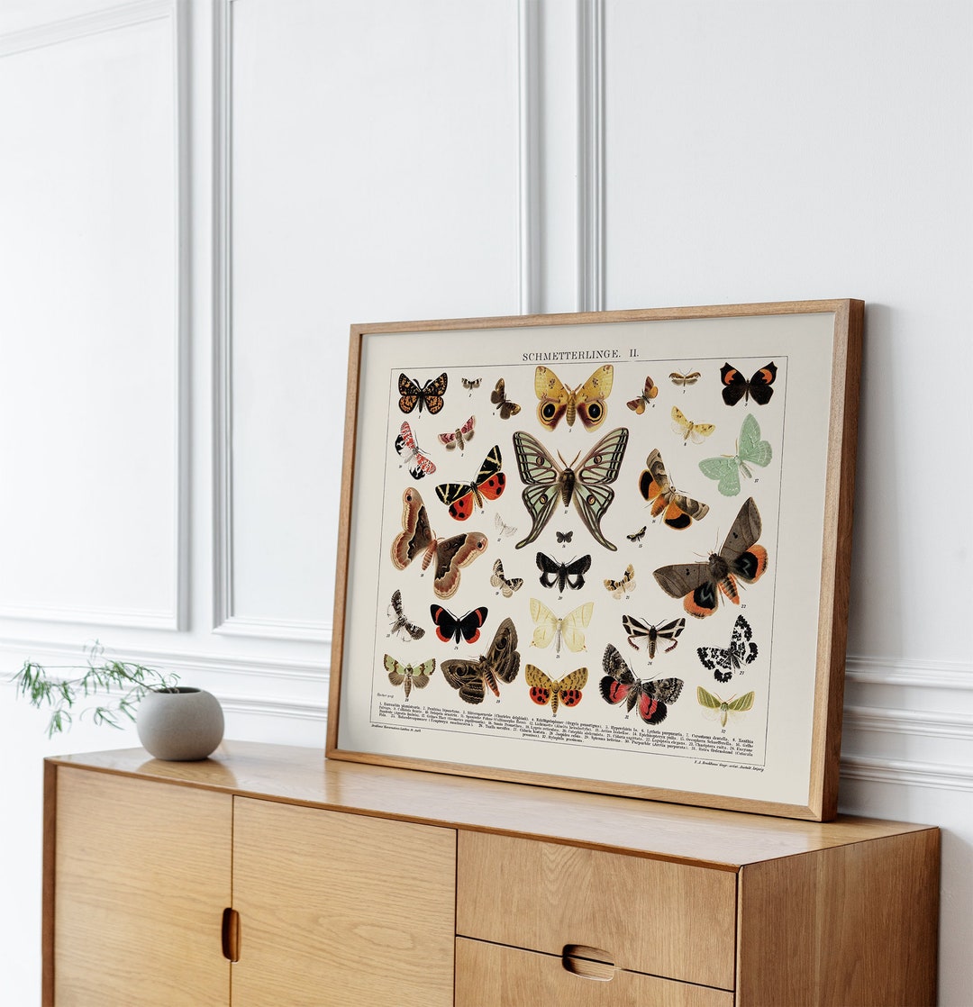 PRINTABLE Vintage Butterfly Wall Decor Butterfly Art Etsy