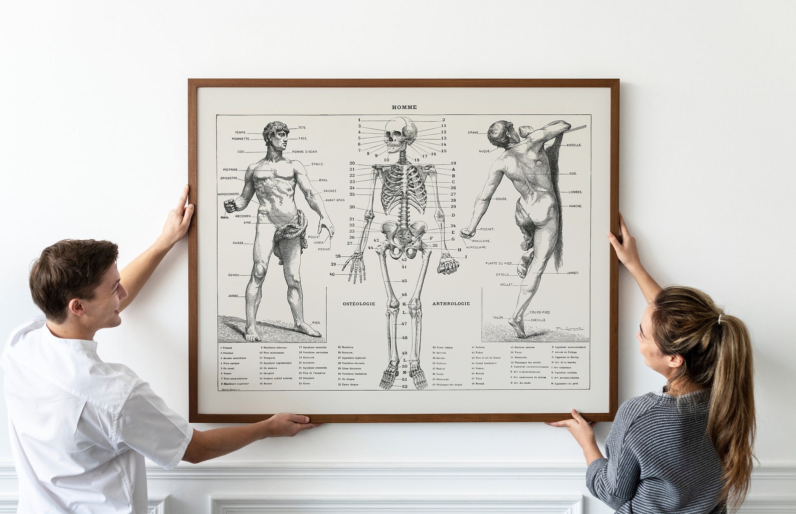 PRINTABLE Vintage Anatomy Wall Art, Human Body Biology Poster, Antique ...