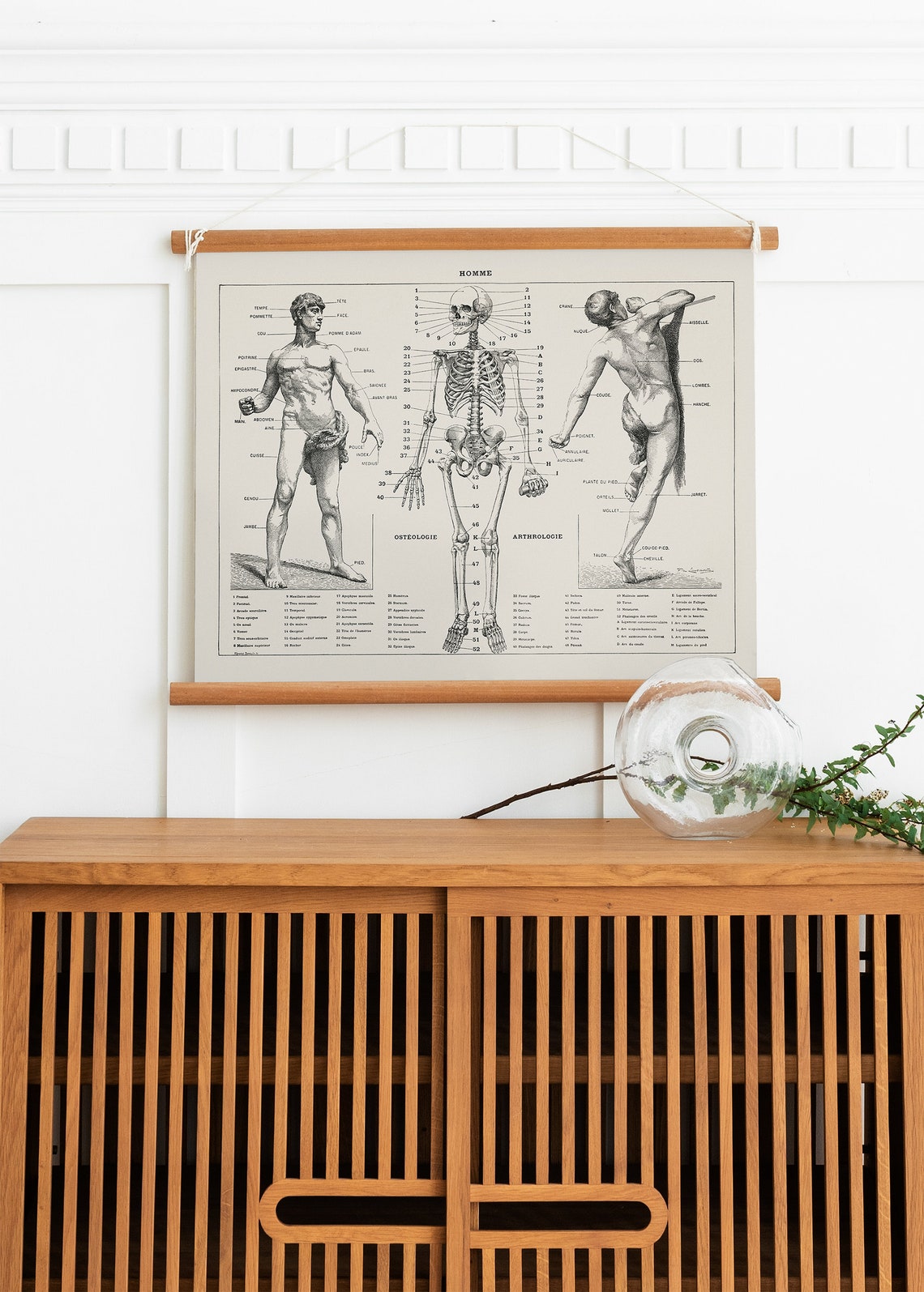 PRINTABLE Vintage Anatomy Wall Art, Human Body Biology Poster, Antique ...