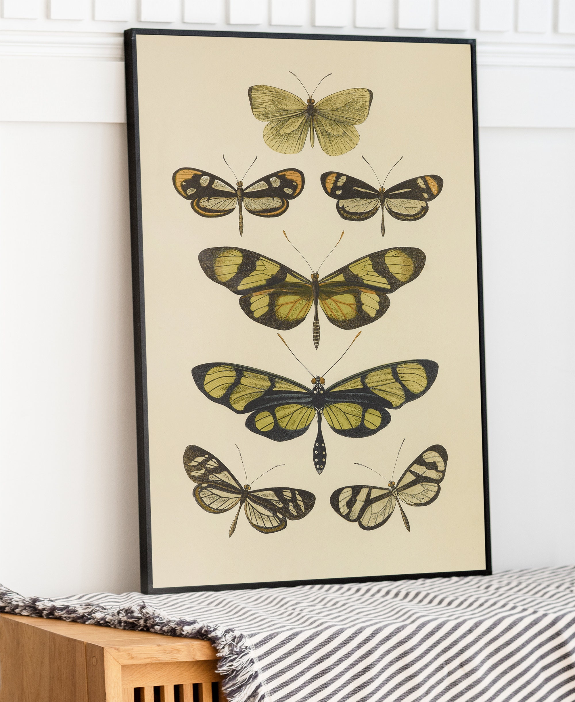 PRINTABLE Vintage Butterfly Wall Decor, Antique Cottagecore Print, Boho