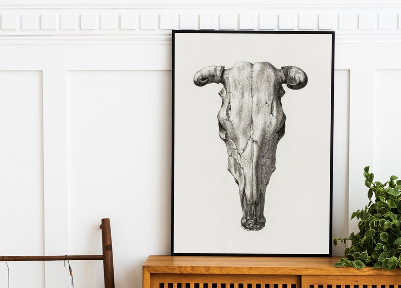 PRINTABLE Vintage Cow Skull Wall Art, Victorian Era Dark Aesthetic