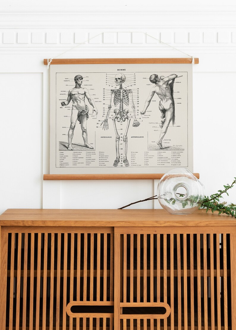 Vintage Anatomy Poster Human Body Biology Wall Art Antique - Etsy