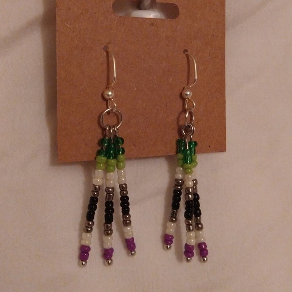 Aroace Combo Pride Beaded Earrings