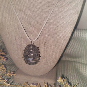 Black Crinoids Sea Lily Fossil Stone - Stone To Transmute Negative Energy & Help Release Past-Life Karmic Patterns And Aids Stability!