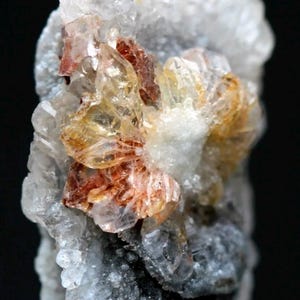 Puede incluir: Primer plano de un esp&eacute;cimen mineral con un grupo de cristales transparentes. Los cristales muestran colores claros, &aacute;mbar y marr&oacute;n rojizo, sobre un fondo de roca gris y blanca. Fondo negro.