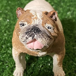 Bulldog statuette English bulldog  - Free Shipping