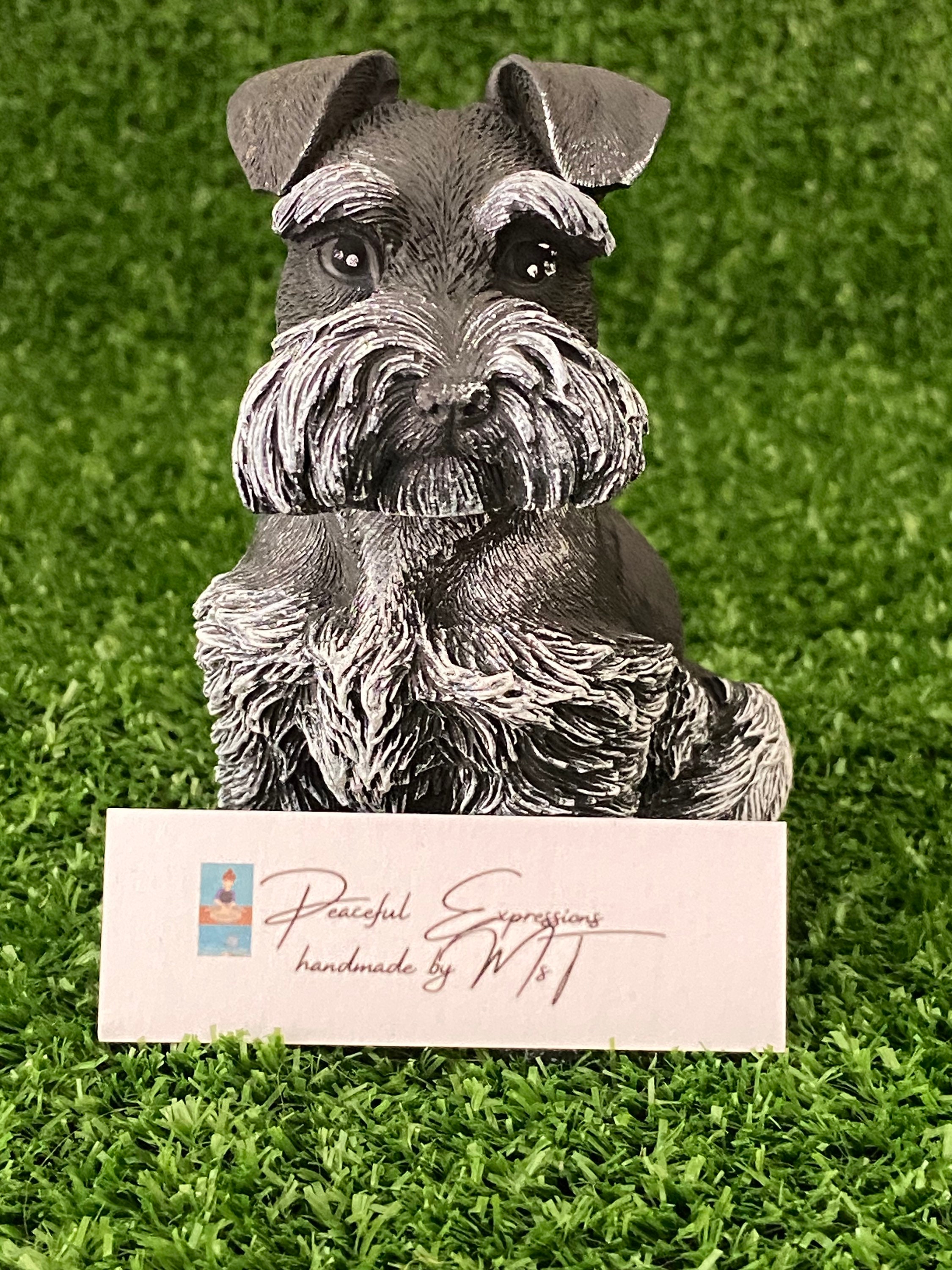 Cane Schnauzer nano: caratteristiche e foto