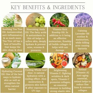 Op de afbeelding: Een informatieve afbeelding met de titel "KEY BENEFITS & INGREDIENTS" toont acht afbeeldingen van natuurlijke ingredi&euml;nten. Deze omvatten tea tree olie, amla olie, rozenbottelolie, lavendelolie, kokosolie, alo&euml; vera, vitamine C en retinol, met korte beschrijvingen.