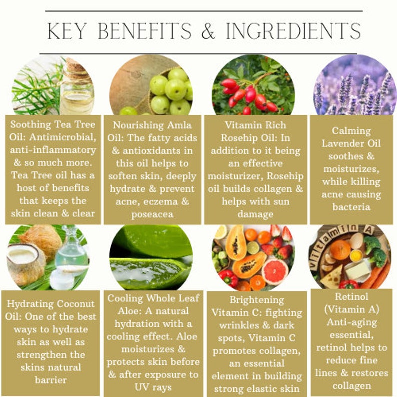 Op de afbeelding: Een informatieve afbeelding met de titel "KEY BENEFITS & INGREDIENTS" toont acht afbeeldingen van natuurlijke ingredi&euml;nten. Deze omvatten tea tree olie, amla olie, rozenbottelolie, lavendelolie, kokosolie, alo&euml; vera, vitamine C en retinol, met korte beschrijvingen.