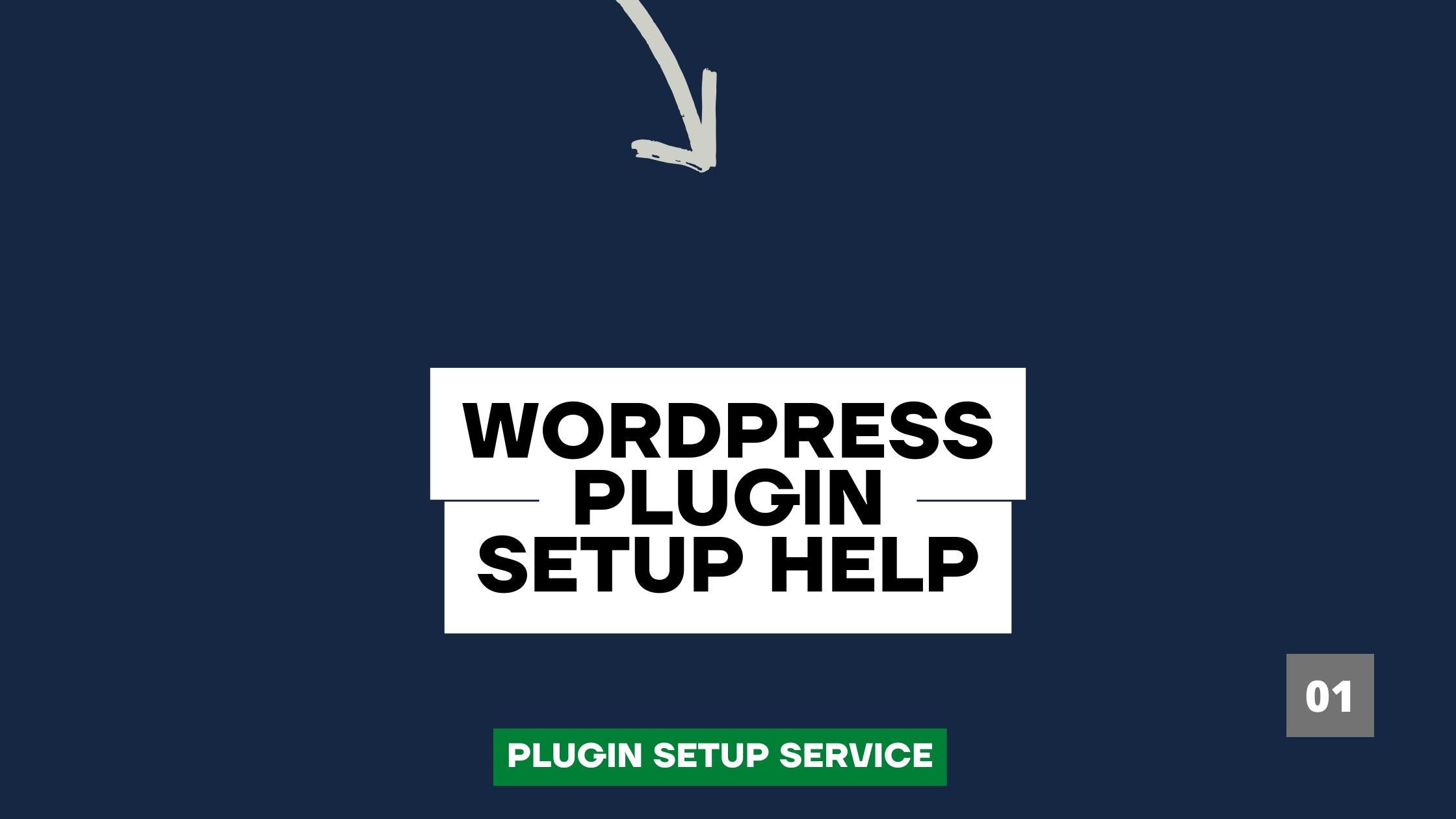 WordPress Plugin Setup