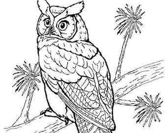 Animal Coloring Pages | 228 Fun Drawings, Stress Relief (Digital Download)