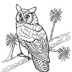 BEST DEAL! 460 Digital Coloring Pages of Amazing Animals (Fun Drawings to Reduce Anxiety & Relax)