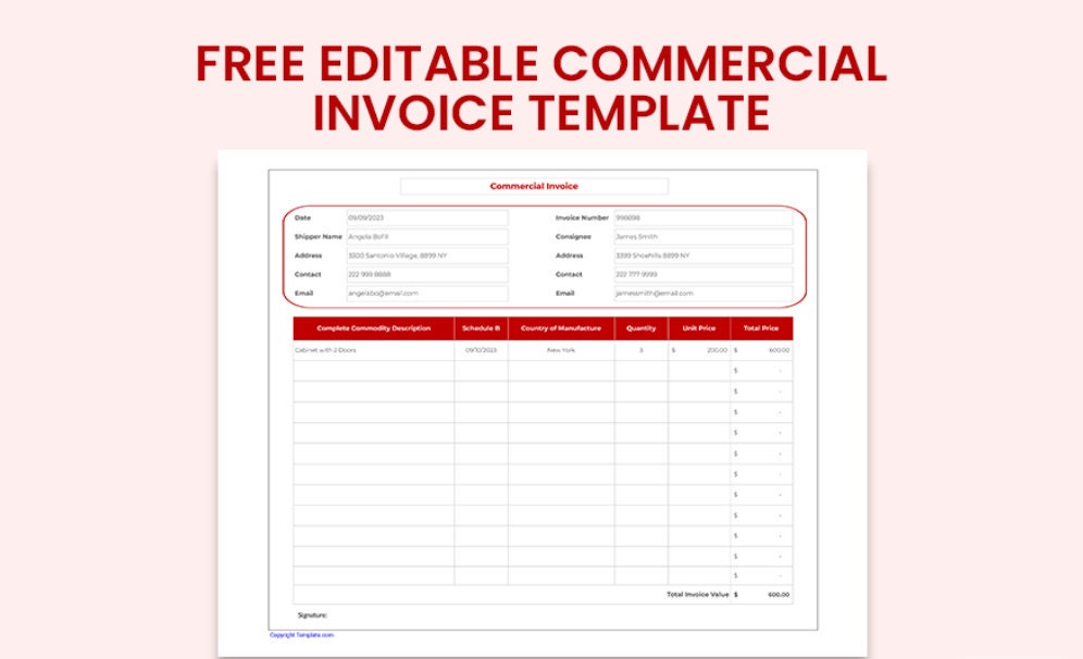 Editable Commercial Invoice Template Download Etsy