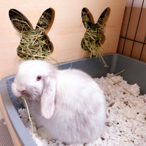 Hay Feeder & Litter Pan Combo, Double Bunny Head Style, Extra Large Model, Rabbit Litter Pan, Kiln-Dried Pine Hay Dispenser, Litter Training