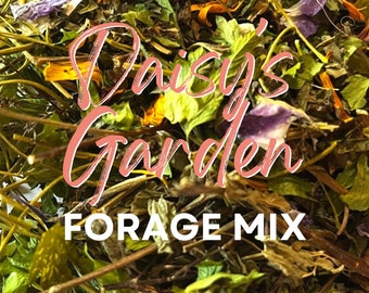 Mélange fourrager « Daisy's Garden », coupe-foin avec herbes et fleurs biologiques cultivées localement pour lapins, cobayes et autres petits animaux