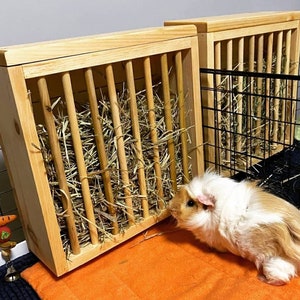 Image showcasing Guinea Pig Hay Feeder, Standing Mounted. Small Animal Hay Rack, Perfect ...