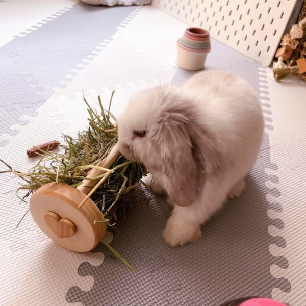 Small Animal Hay Rollers / Hay Feeding Toy / 2 Sizes / Bunny / Guinea Pig / Rabbit / Made in Canada
