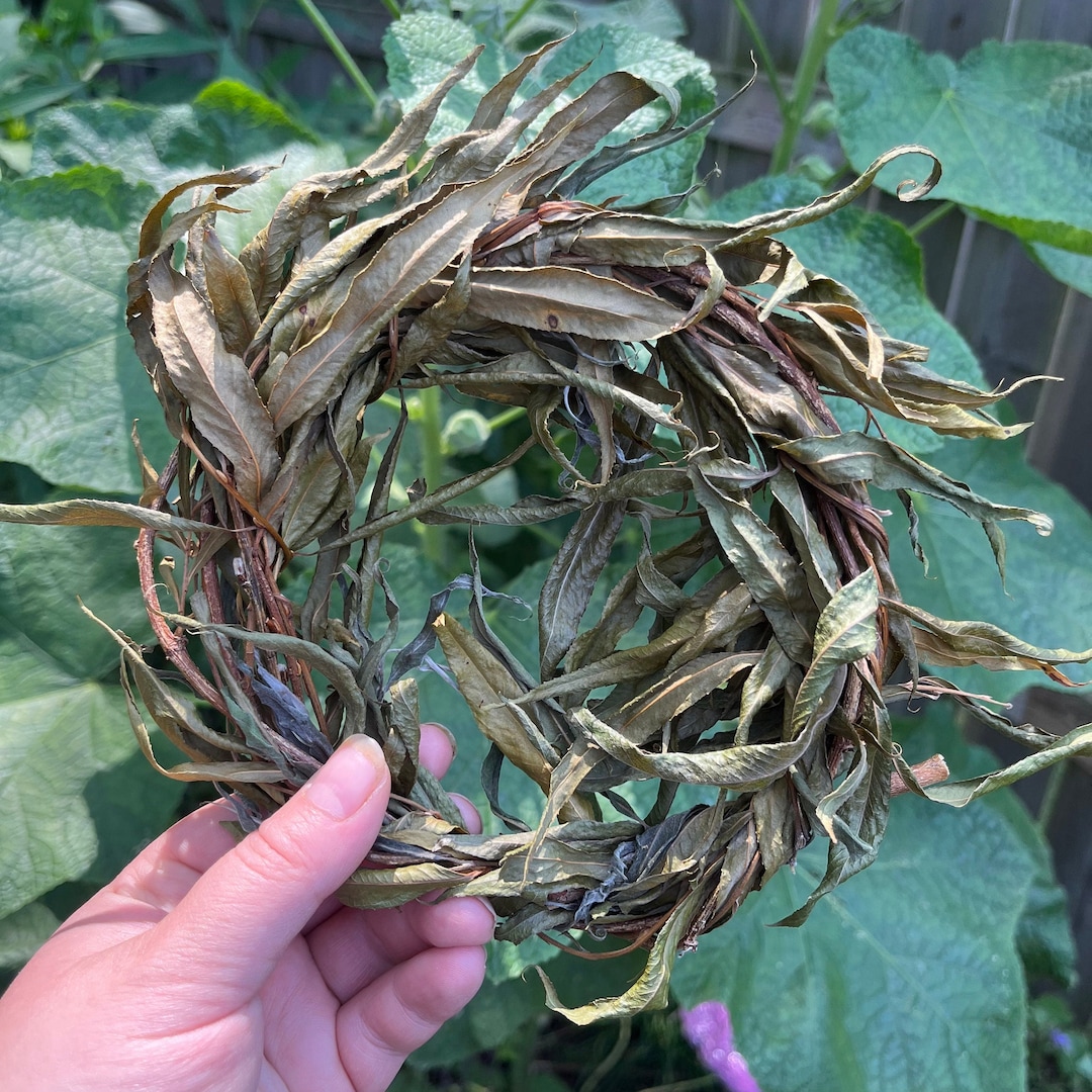 Weeping Willow Wreaths for Rabbits, Small Animal Chewable Sticks, Safe