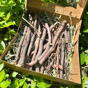 Bunny Chew Box: Ontario Homegrown Sticks - Apple, Pear, Currant & Gooseberry - Natural, Safe, and Delicious. For Guinea Pigs, Rabbits, Rats.