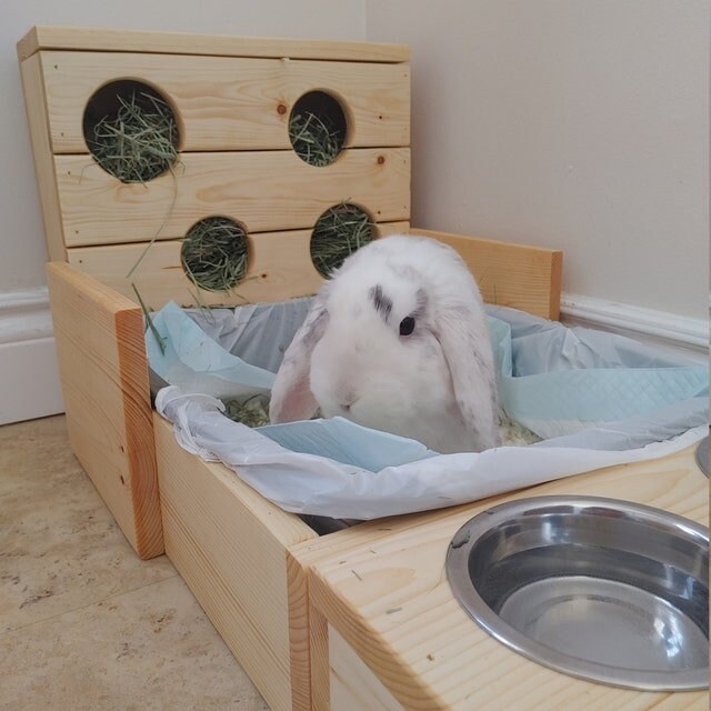 2-in-1 Rabbit Hay Feeder & Litter Box - Wooden Mess-Free Setup For Guinea Pigs & Small Pets
