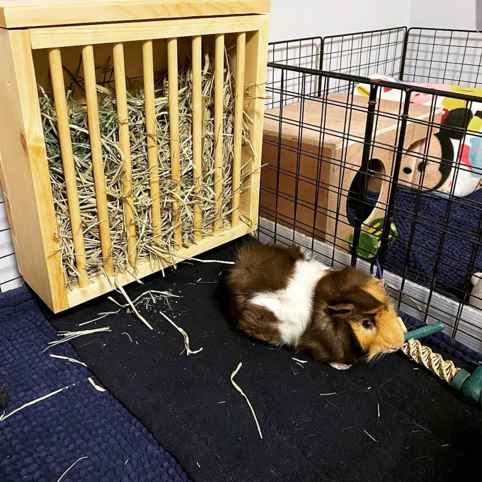 Standing Mounted Hay Feeder / Small Animal/ Bunny / Guinea Etsy