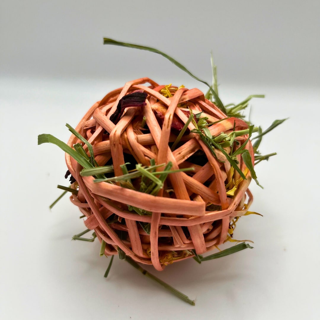 Spring Dragon Willow Ball Chew Rabbits, Naturally Flavoured Infused ...