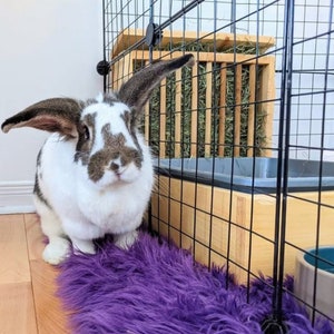 Rabbit Hay Feeder & Litter Box, Dowel Hay Rack, Bunny Litter Pan, Small Animal Litter Tray, Guinea Pig Litter Training, Kiln-Dried Pine