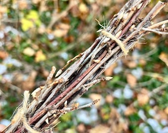 Currant & Gooseberry Twig Bundle for Rabbits, Small Animal Chewable Sticks, Safe for Bunnies, Organic Locally Grown Ontario Berry Bush Twigs