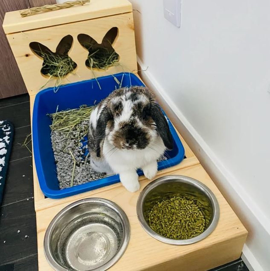 Hay Feeder Litter Box Small Animal Litter and Hay Feeding