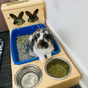 Hay Feeder & Litter Box, Small Animal Litter and Hay Feeding Station, Bunny Litter Training, Rabbit Litter box, Hay Management