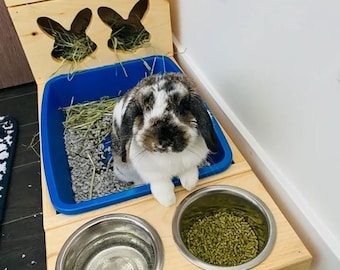 Hay Feeder & Litter Box, Small Animal Litter and Hay Feeding Station, Bunny Litter Training, Rabbit Litter box, Hay Management