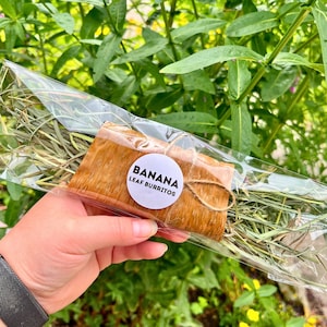 May include: A package of banana leaf burritos wrapped in clear cellophane and tied with twine. A white circular sticker with the words "BANANA LEAF BURRITOS" is affixed to the package. The background is green foliage.