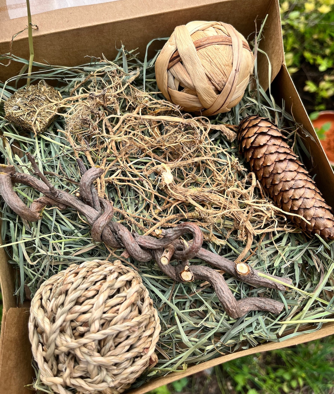 Neutral Rabbit Stuff For Rabbits The Ultimate Busy Box for Rabbit Enrichment, Foraging Fun Natural Chews ...